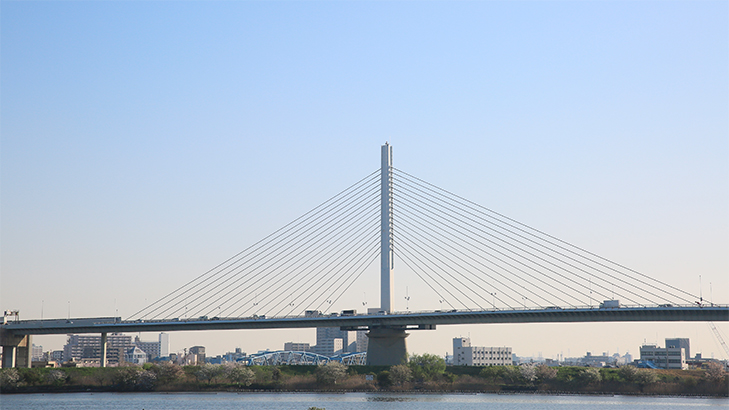 ภาพ Katsushika Harp Bridge 10/10