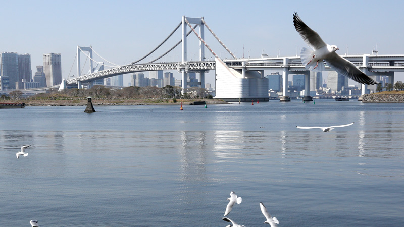 ภาพ Rainbow Bridge 5/11