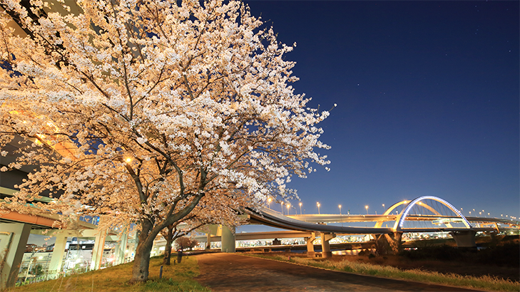 五色櫻大橋 首都高 Metropolitan Expressway Company Limited