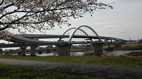 五色櫻大橋的連結