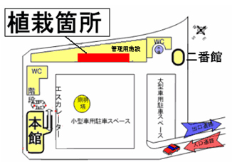 栽培箇所