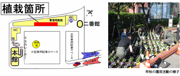 昨秋の園芸活動の様子