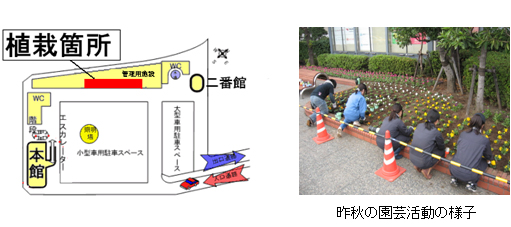 昨秋の園芸活動の様子