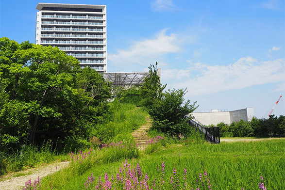 おおはし里の杜全景