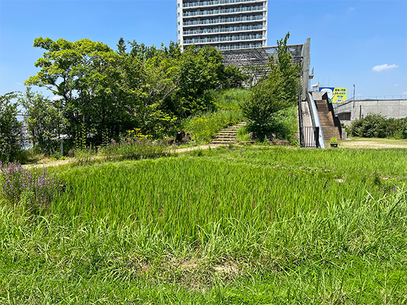 おおはし里の杜