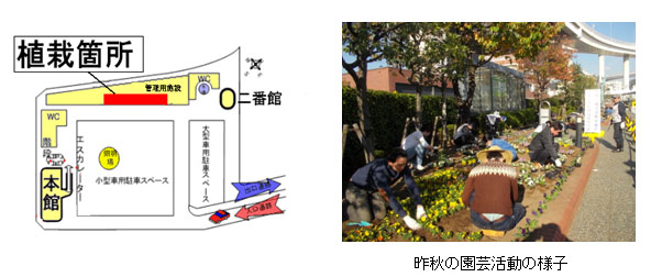 昨秋の園芸活動の様子