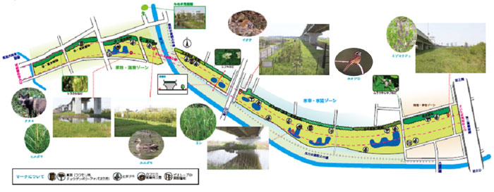 見沼たんぼ首都高ビオトープ