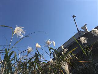 ★IMG_3539_R.JPG