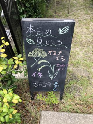 IMG_9602.jpeg