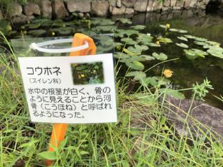IMG_9608.jpeg