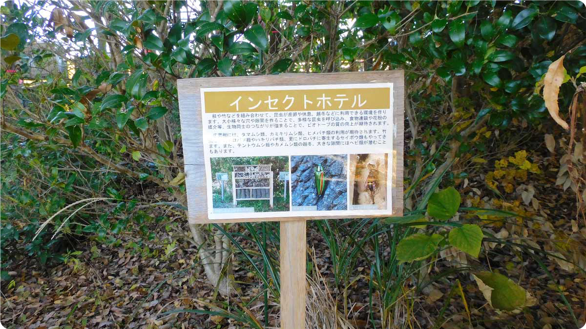 img_shuto-e-co_6-0.png
