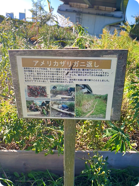 img_shuto-e-co_6-4.png