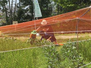 ★IMG_2016_R.JPG