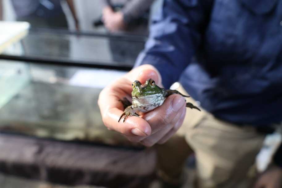 image16.jpg