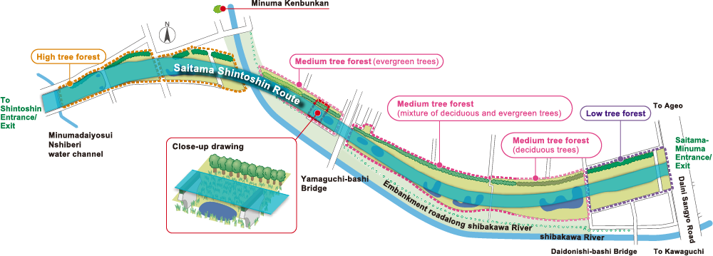 Outline diagram of the area