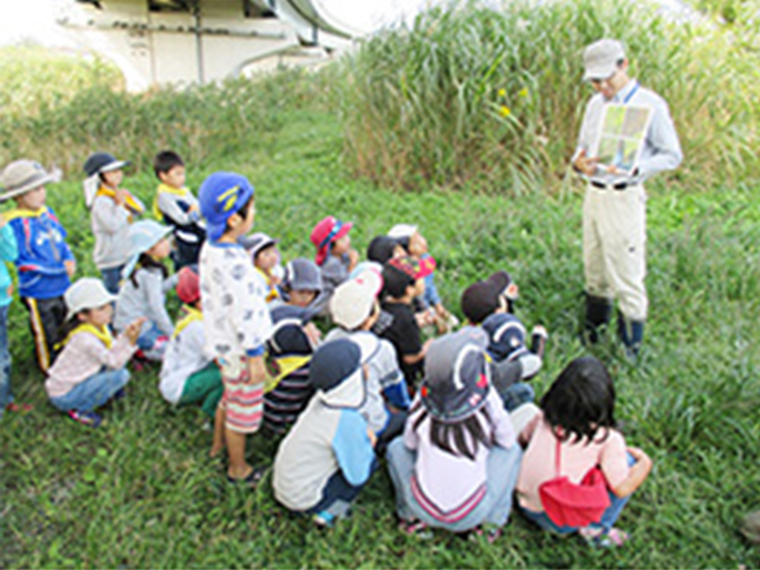 A nature observation outing for kindergarten children