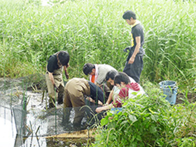 Practical work by university students