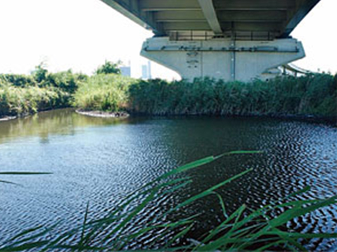 Landscape of Biotope