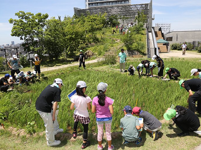 Nature observation outing