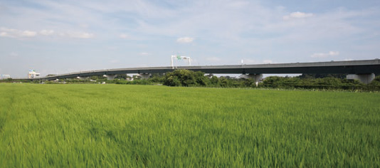 ทางพิเศษสาย Saitama Shintoshin เสร็จสมบูรณ์