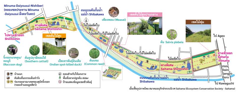 ภาพแผนที่เขตชีวชาติ (Biotope) Minuma Tanbo