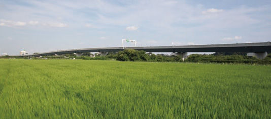 首都高速埼玉新都心線 (新都心線) 完工的圖片
